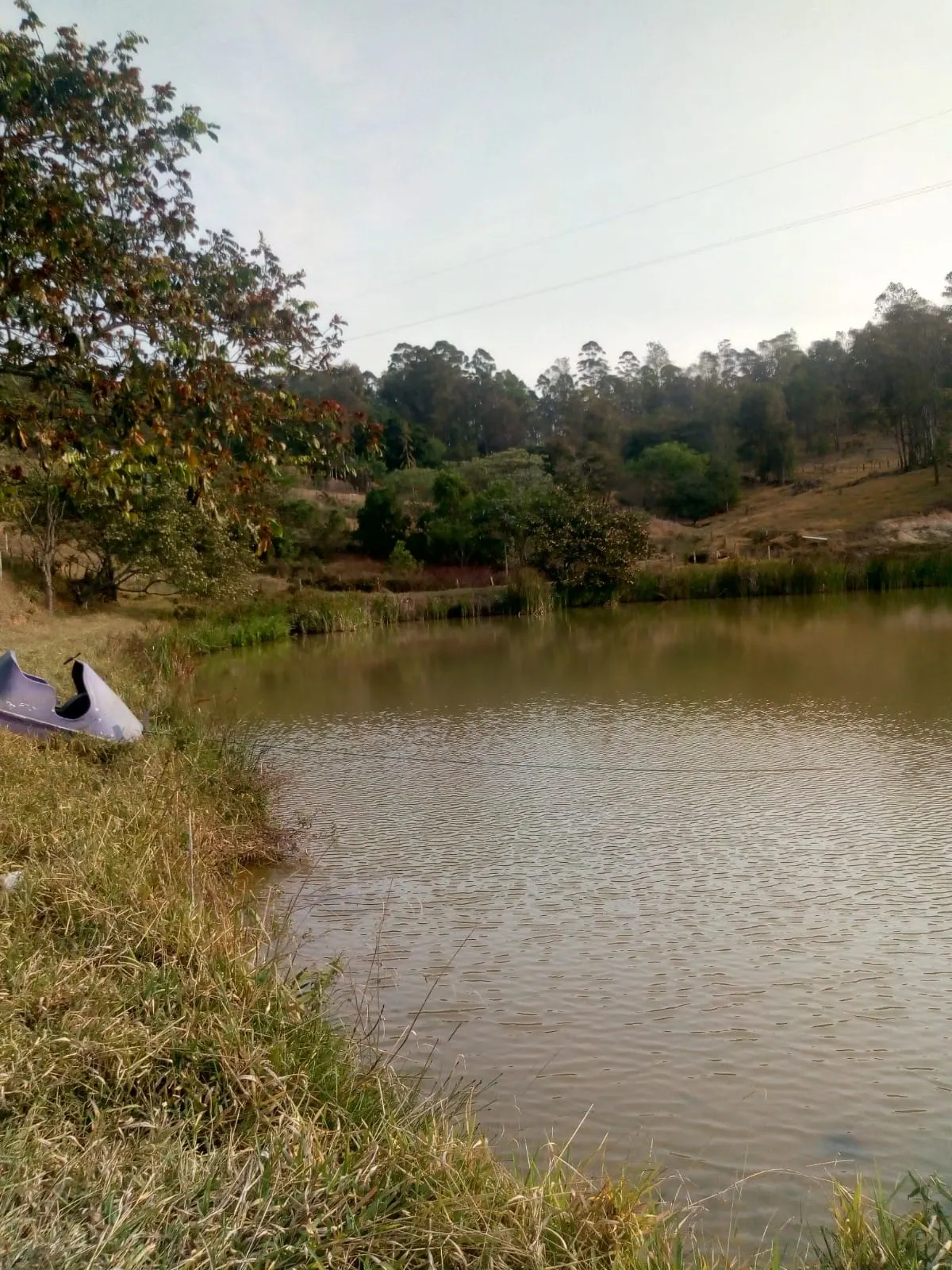 Sítio à venda de 4 ha em Amparo, SP, Brasil