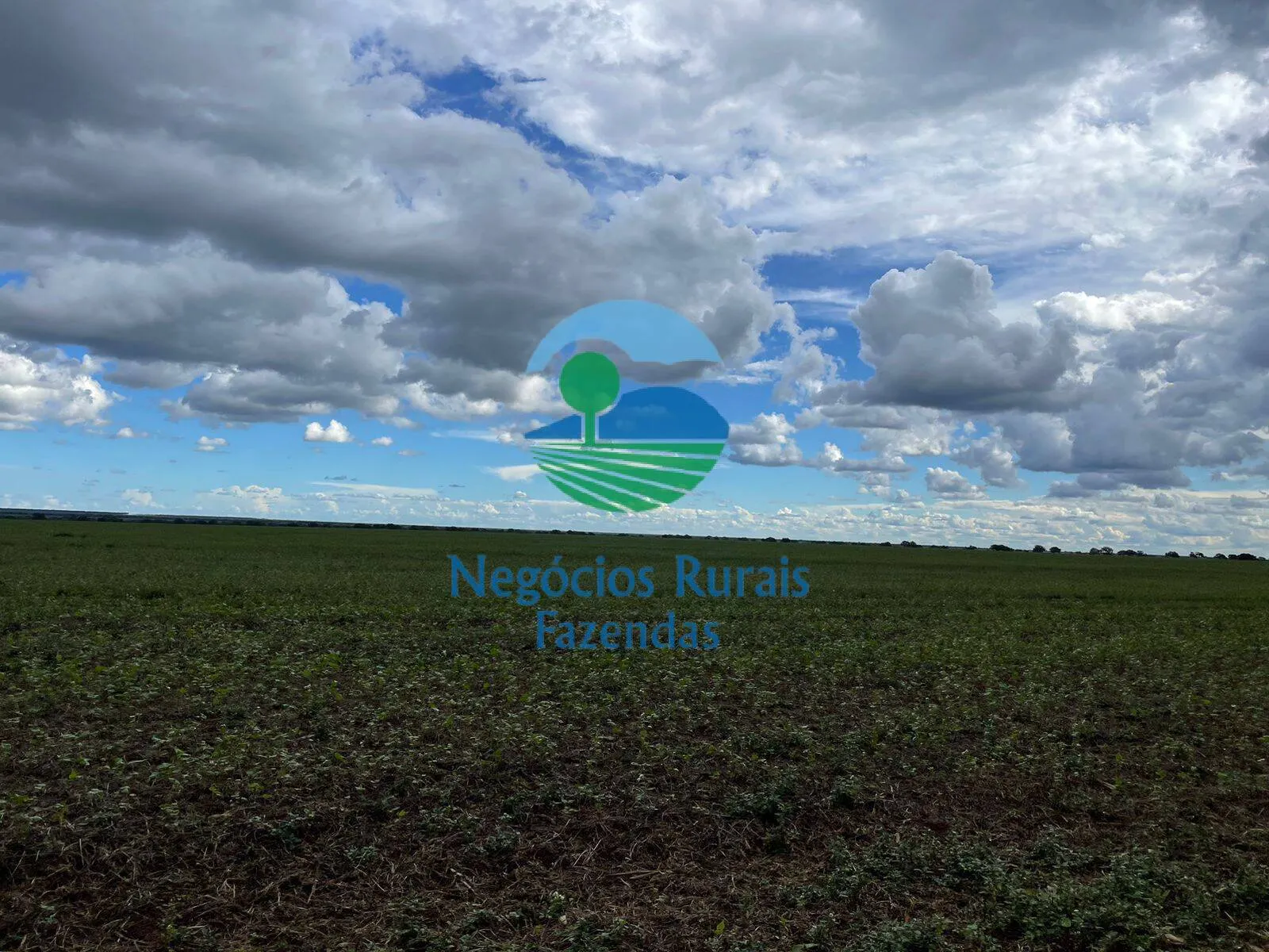 Fazenda à venda de 10.930 ha em Uruaçu, GO, Brasil