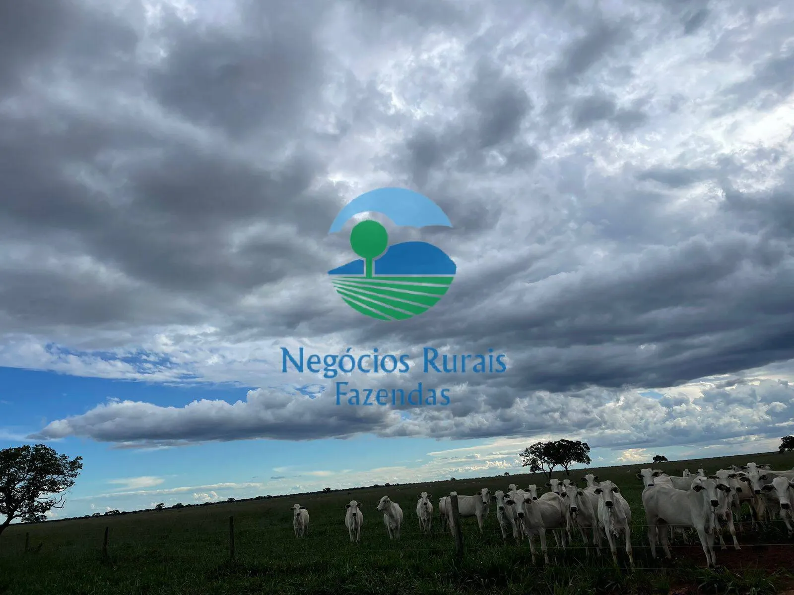 Fazenda à venda de 10.930 ha em Uruaçu, GO, Brasil