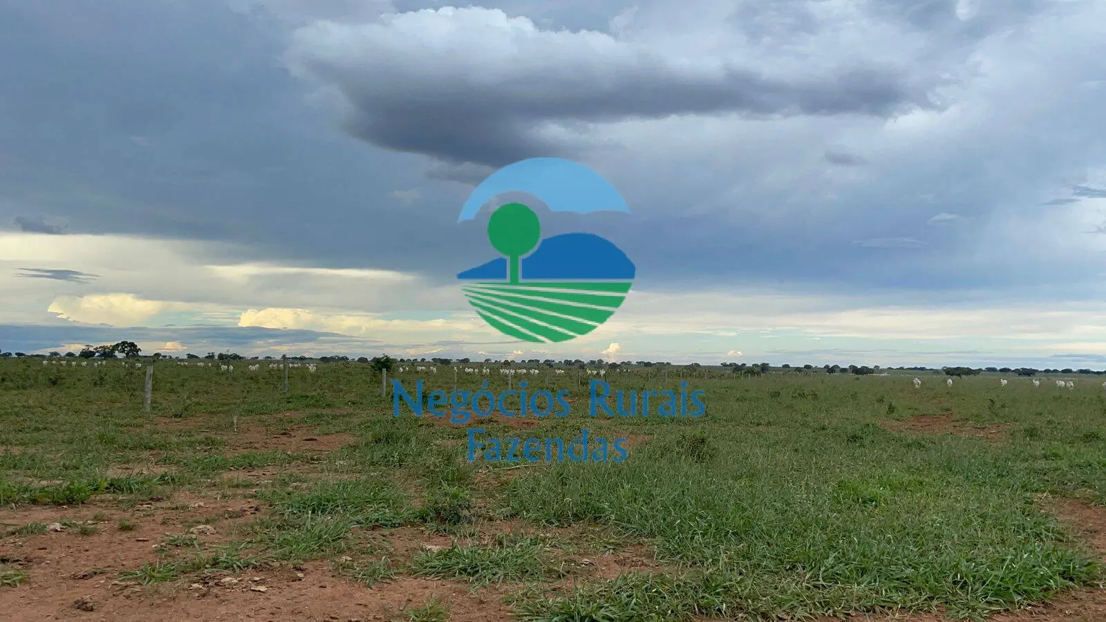 Fazenda à venda de 10.930 ha em Uruaçu, GO, Brasil