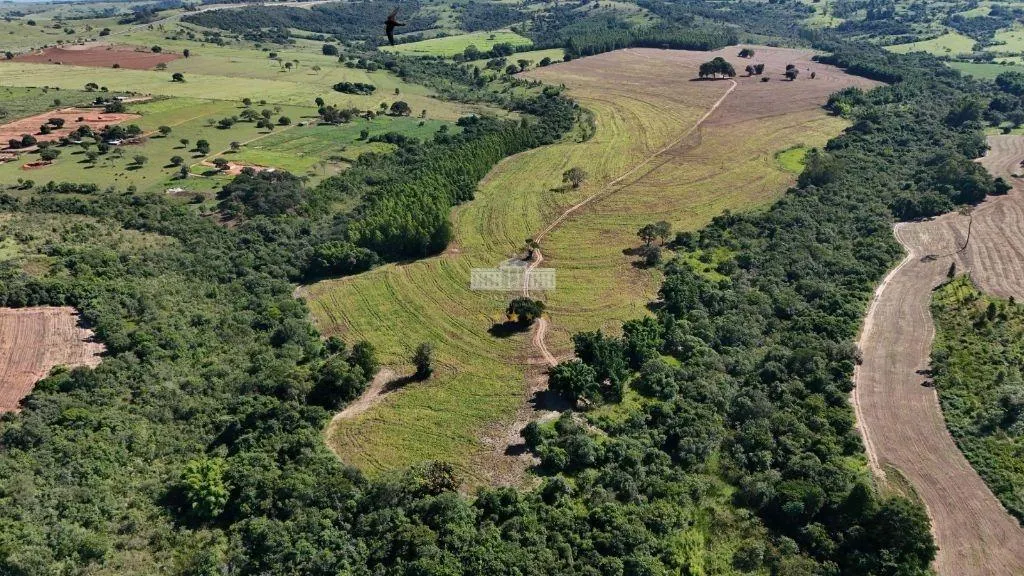 Fazenda à venda de 54 ha em Echaporã, SP, Brasil