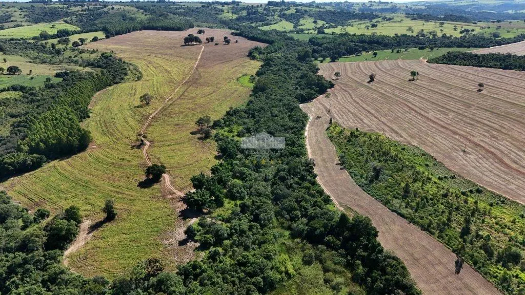 Fazenda à venda de 54 ha em Echaporã, SP, Brasil