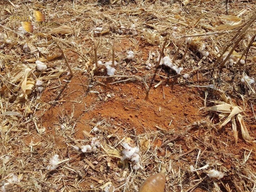 Fazenda à venda de 16.600 ha em Água Boa, MT, Brasil
