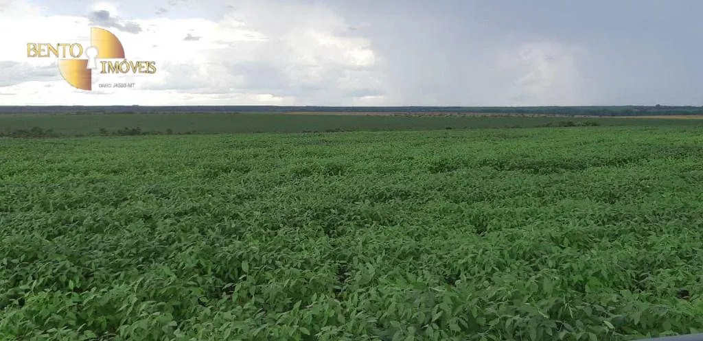 Fazenda à venda de 16.600 ha em Água Boa, MT, Brasil