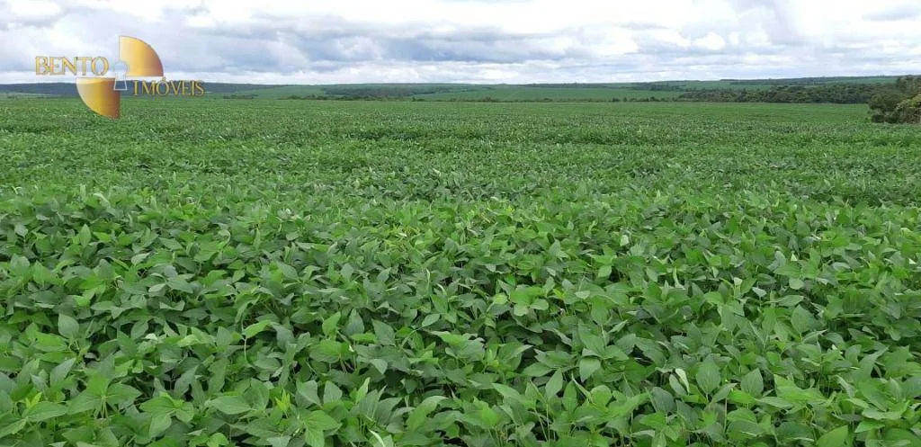 Fazenda à venda de 16.600 ha em Água Boa, MT, Brasil