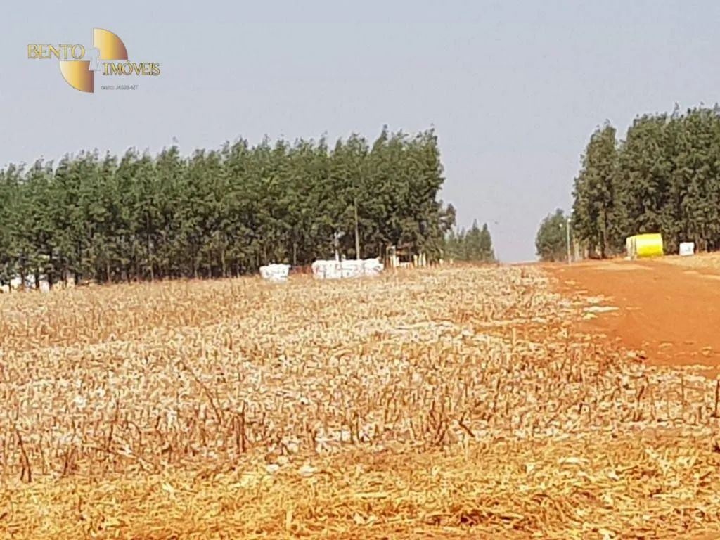 Fazenda à venda de 16.600 ha em Água Boa, MT, Brasil