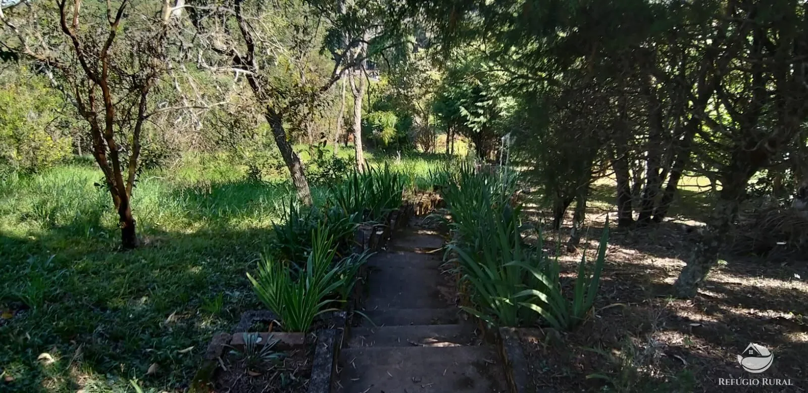 Sítio à venda de 12 ha em Jarinu, SP, Brasil