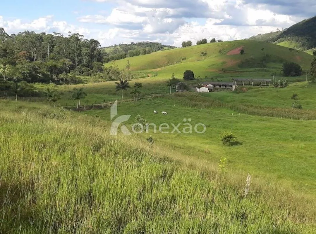 Fazenda à venda de 400 ha em Santa Branca, SP, Brasil
