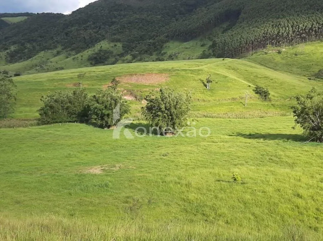 Fazenda à venda de 400 ha em Santa Branca, SP, Brasil