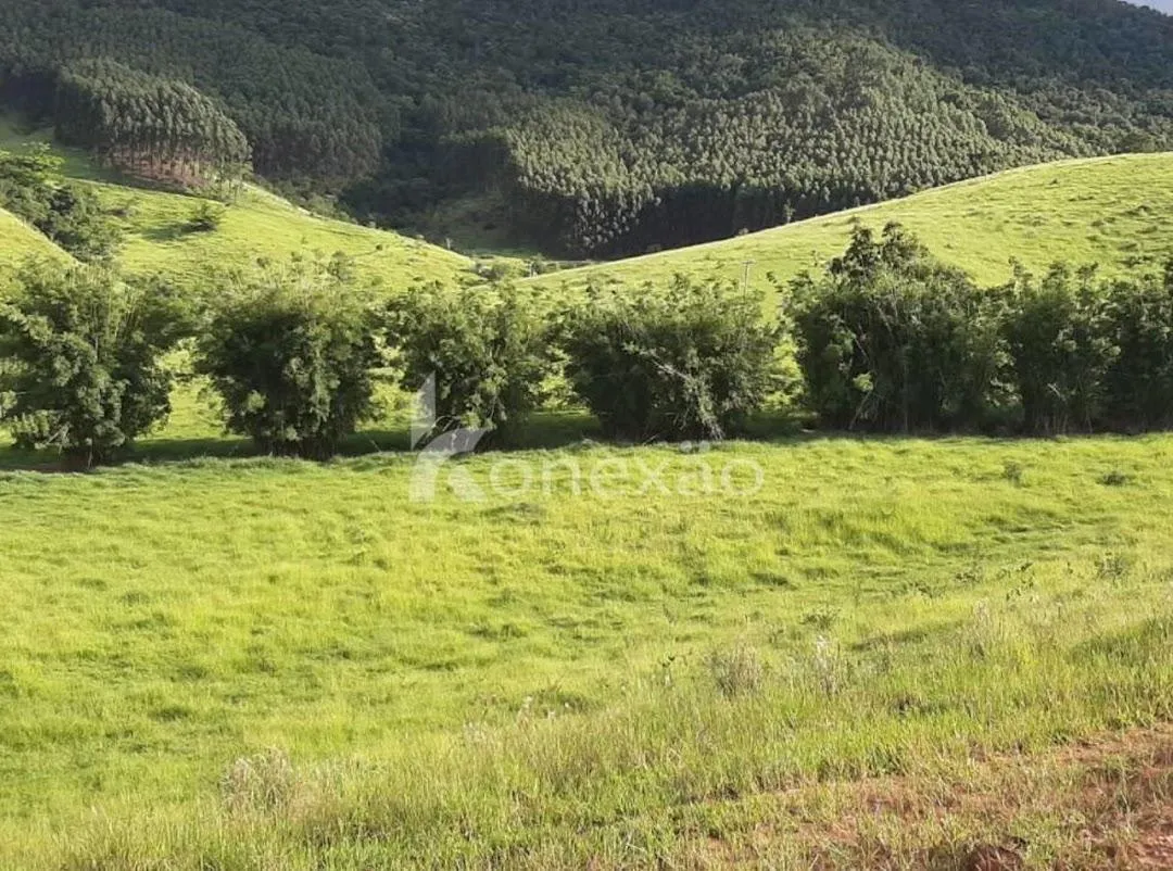 Fazenda à venda de 400 ha em Santa Branca, SP, Brasil