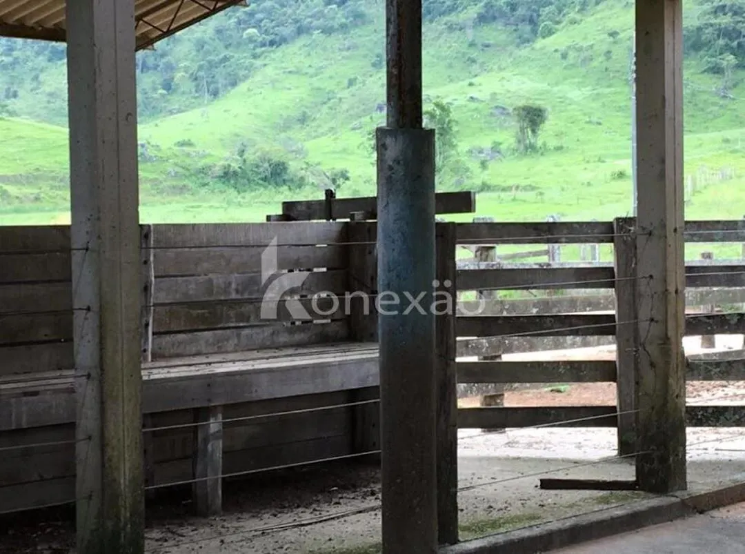 Fazenda à venda de 400 ha em Santa Branca, SP, Brasil