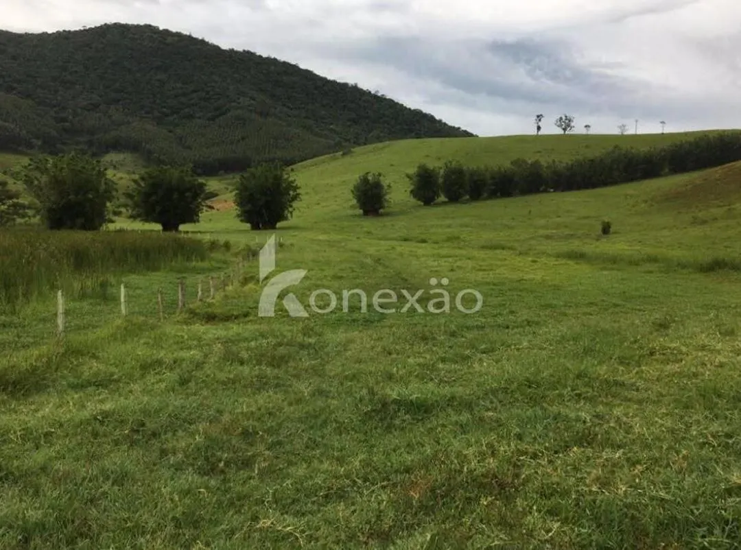 Fazenda à venda de 400 ha em Santa Branca, SP, Brasil