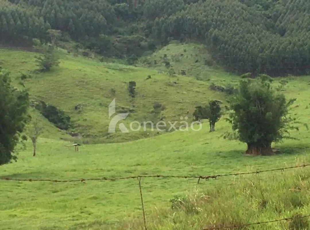 Fazenda à venda de 400 ha em Santa Branca, SP, Brasil
