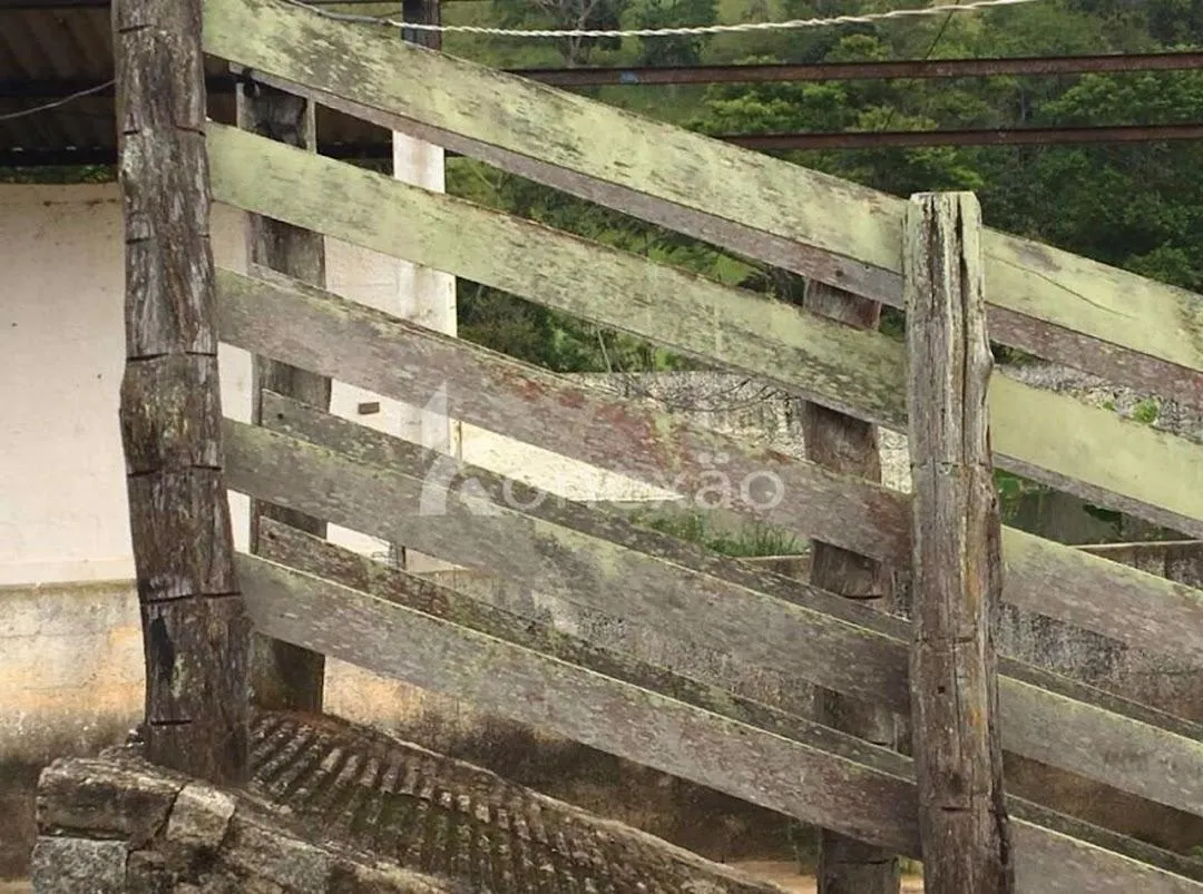 Fazenda à venda de 400 ha em Santa Branca, SP, Brasil