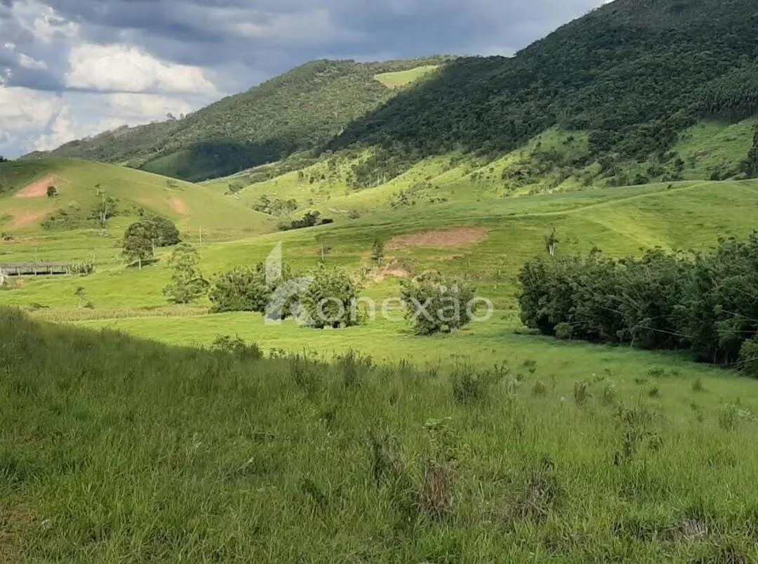 Fazenda à venda de 400 ha em Santa Branca, SP, Brasil