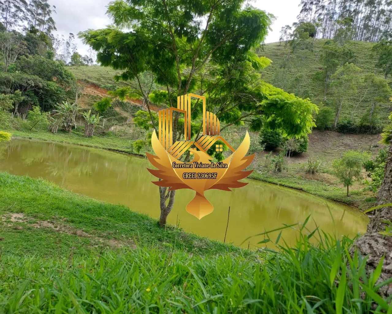 Sítio à venda de 5 ha em Natividade da Serra, SP, Brasil
