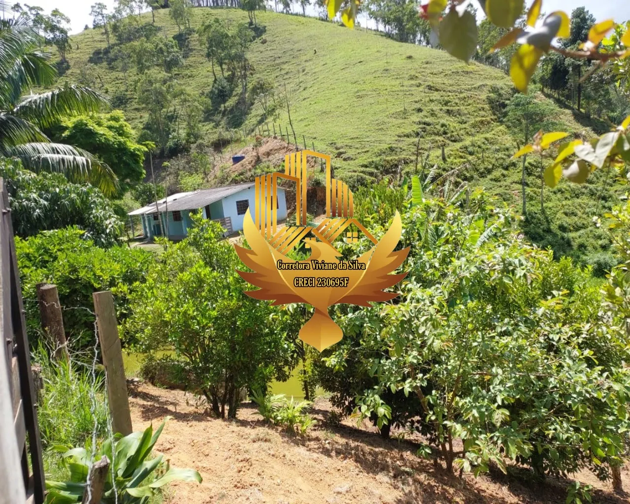 Sítio à venda de 5 ha em Natividade da Serra, SP, Brasil