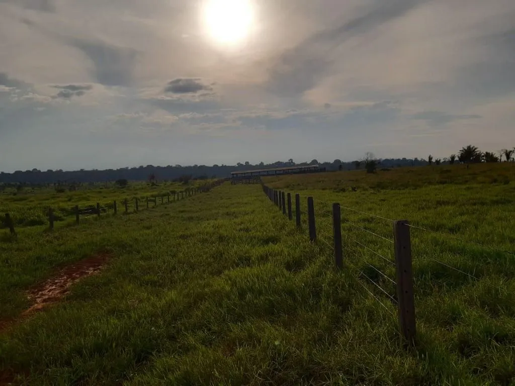 Fazenda à venda de 1.020 ha em Juruena, MT, Brasil