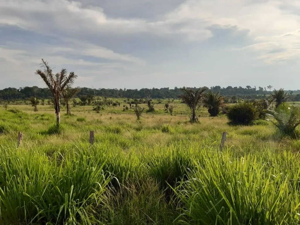 Fazenda à venda de 1.020 ha em Juruena, MT, Brasil