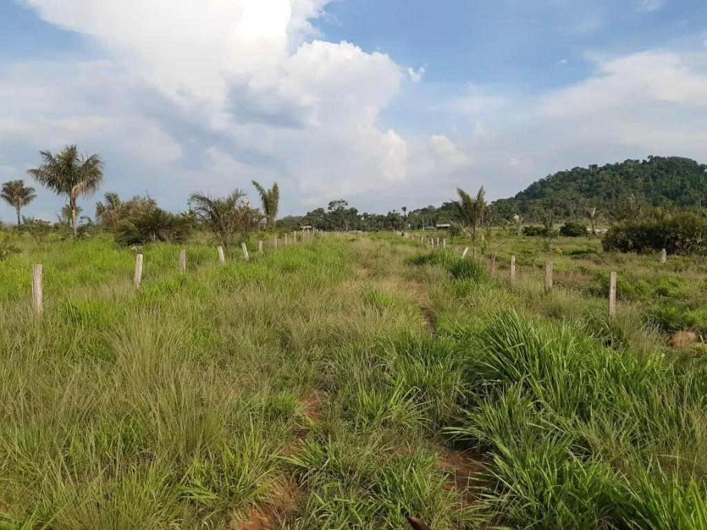 Fazenda à venda de 1.020 ha em Juruena, MT, Brasil