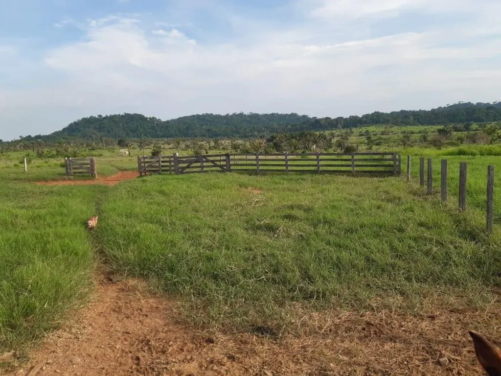 Fazenda à venda de 1.020 ha em Juruena, MT, Brasil