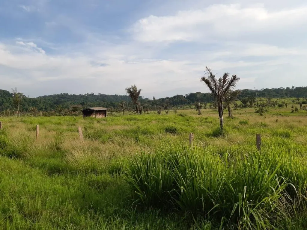 Fazenda à venda de 1.020 ha em Juruena, MT, Brasil