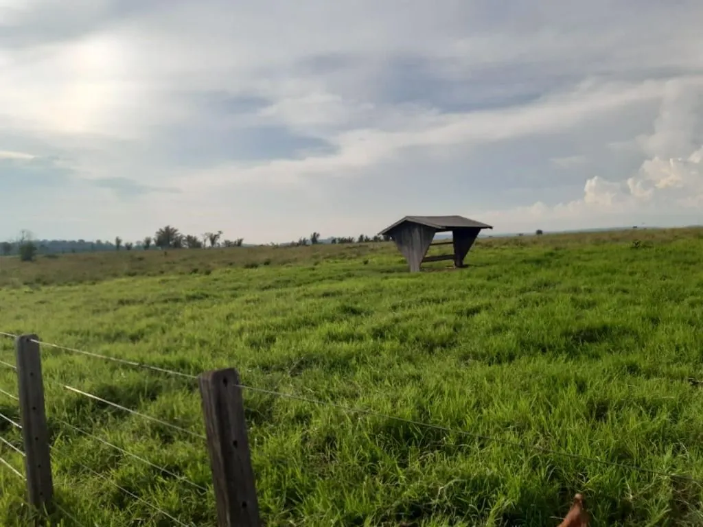 Fazenda à venda de 1.020 ha em Juruena, MT, Brasil