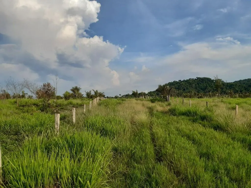 Fazenda à venda de 1.020 ha em Juruena, MT, Brasil