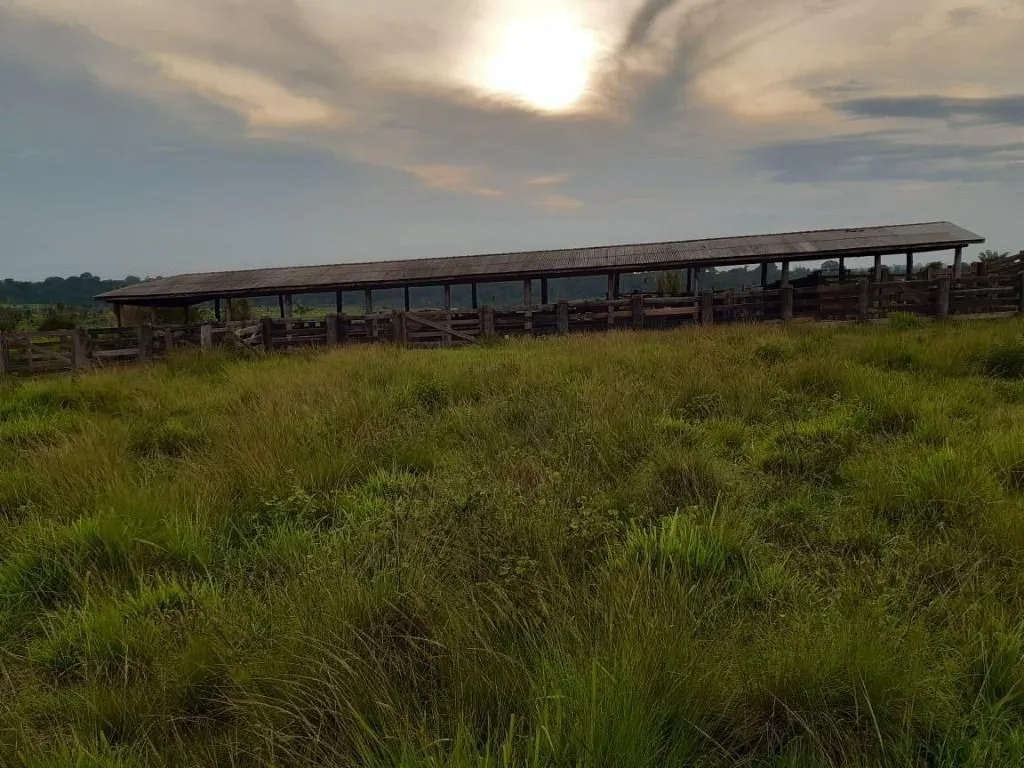Fazenda à venda de 1.020 ha em Juruena, MT, Brasil