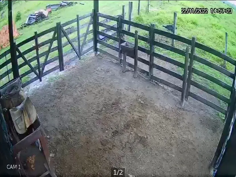 Fazenda à venda de 1.020 ha em Juruena, MT, Brasil