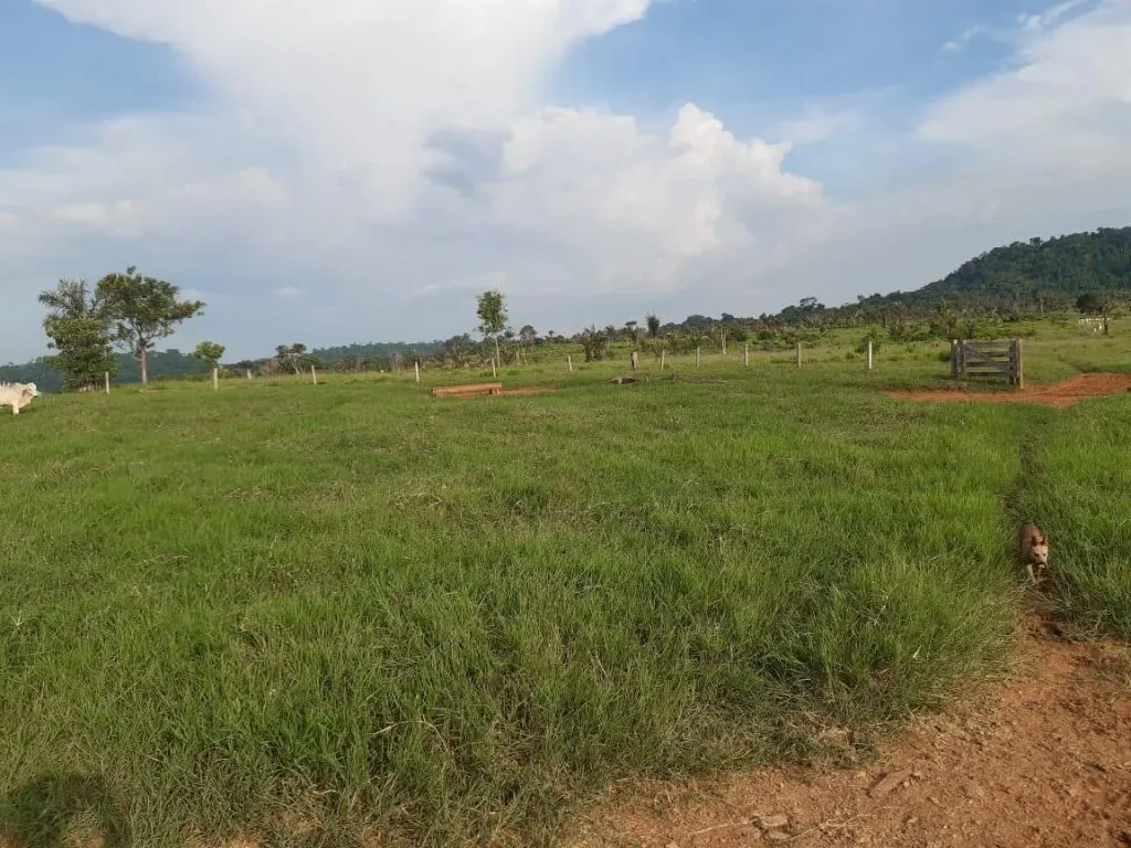 Fazenda à venda de 1.020 ha em Juruena, MT, Brasil