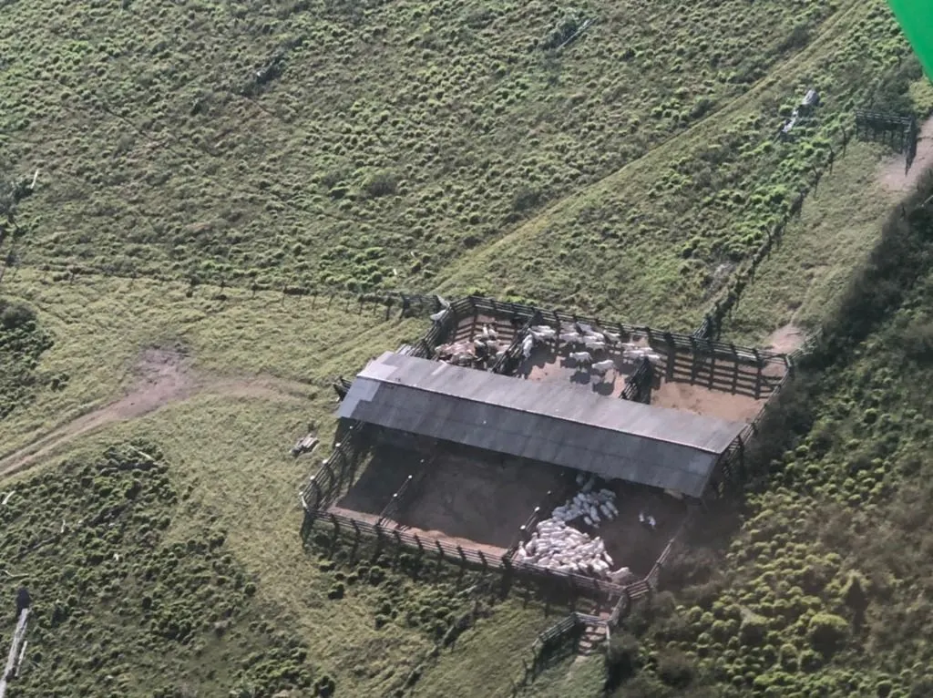 Fazenda à venda de 1.020 ha em Juruena, MT, Brasil