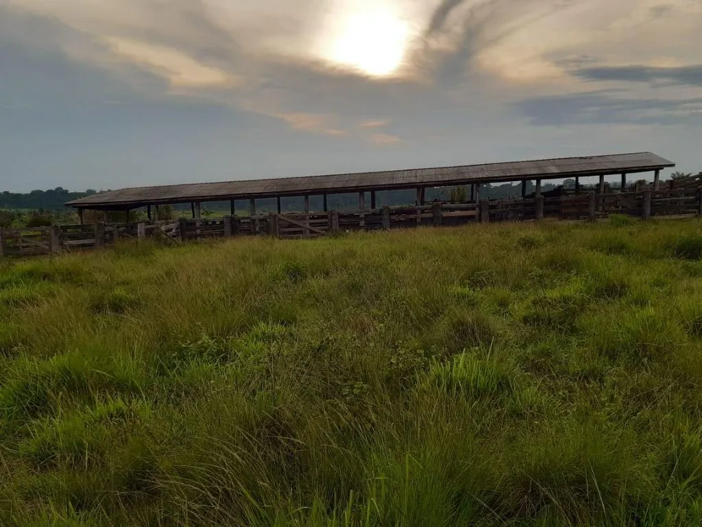Fazenda à venda de 1.020 ha em Juruena, MT, Brasil
