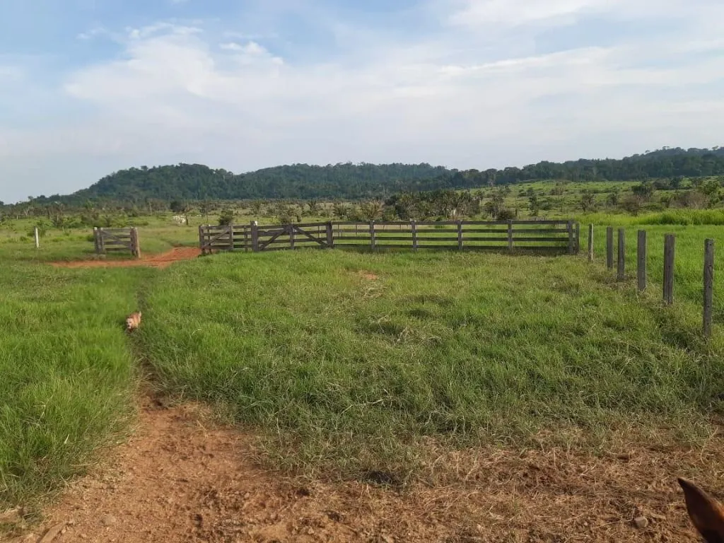 Fazenda à venda de 1.020 ha em Juruena, MT, Brasil