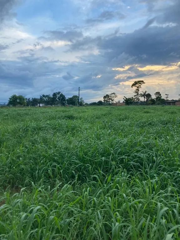 Fazenda à venda de 1.020 ha em Juruena, MT, Brasil