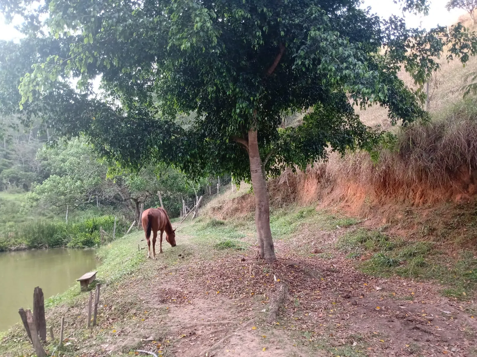 Sítio à venda de 2 ha em São José dos Campos, SP, Brasil