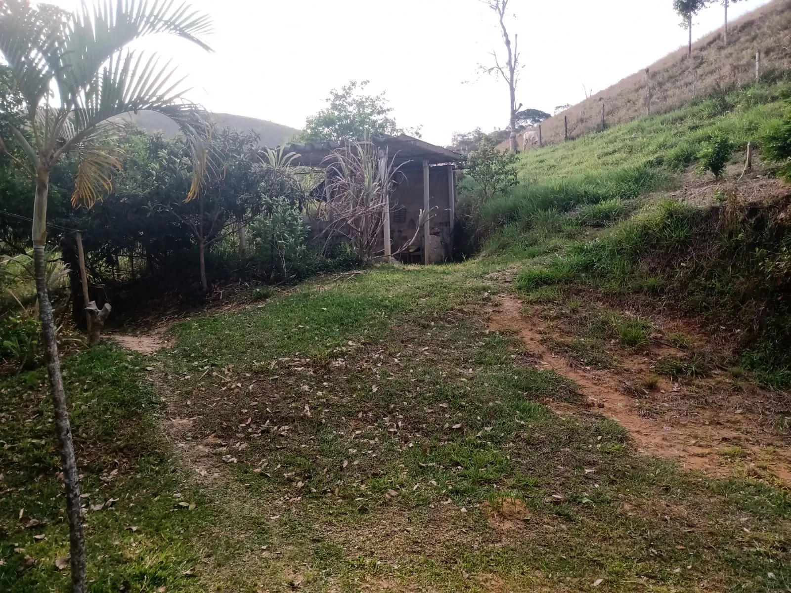 Sítio à venda de 2 ha em São José dos Campos, SP, Brasil