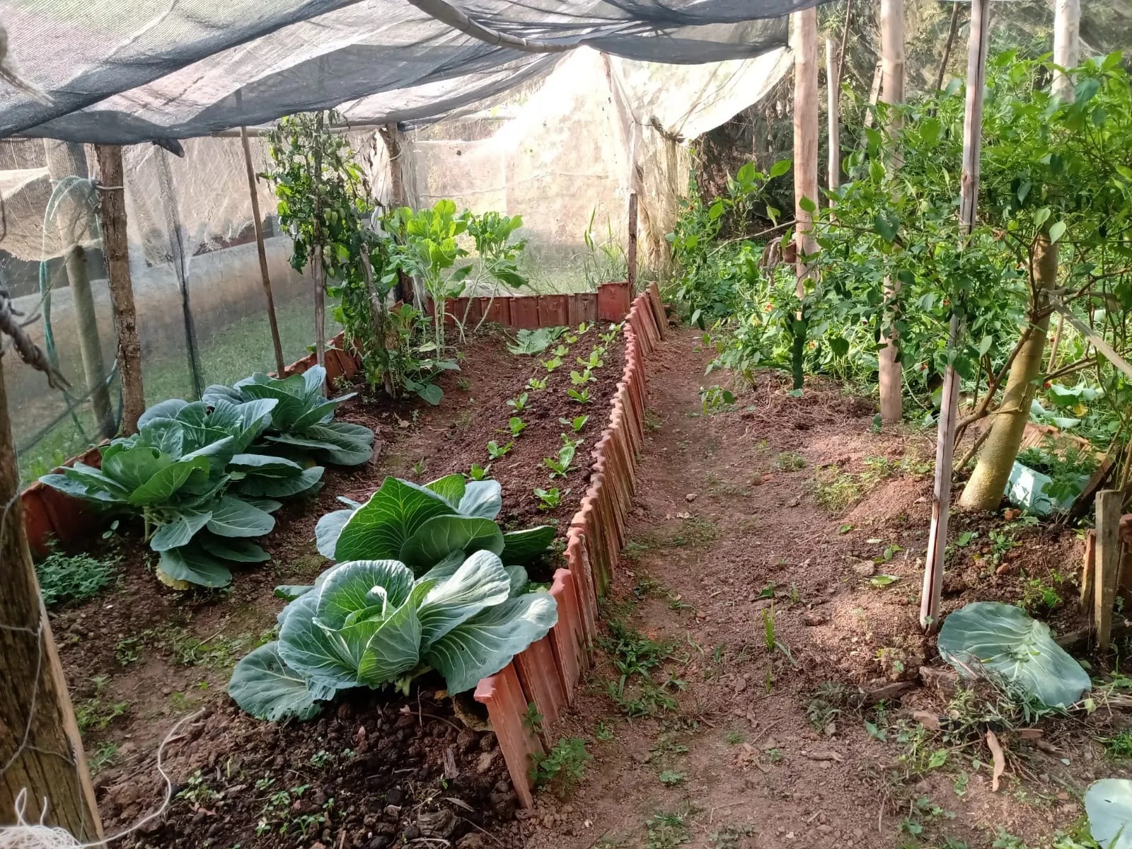 Sítio à venda de 2 ha em São José dos Campos, SP, Brasil