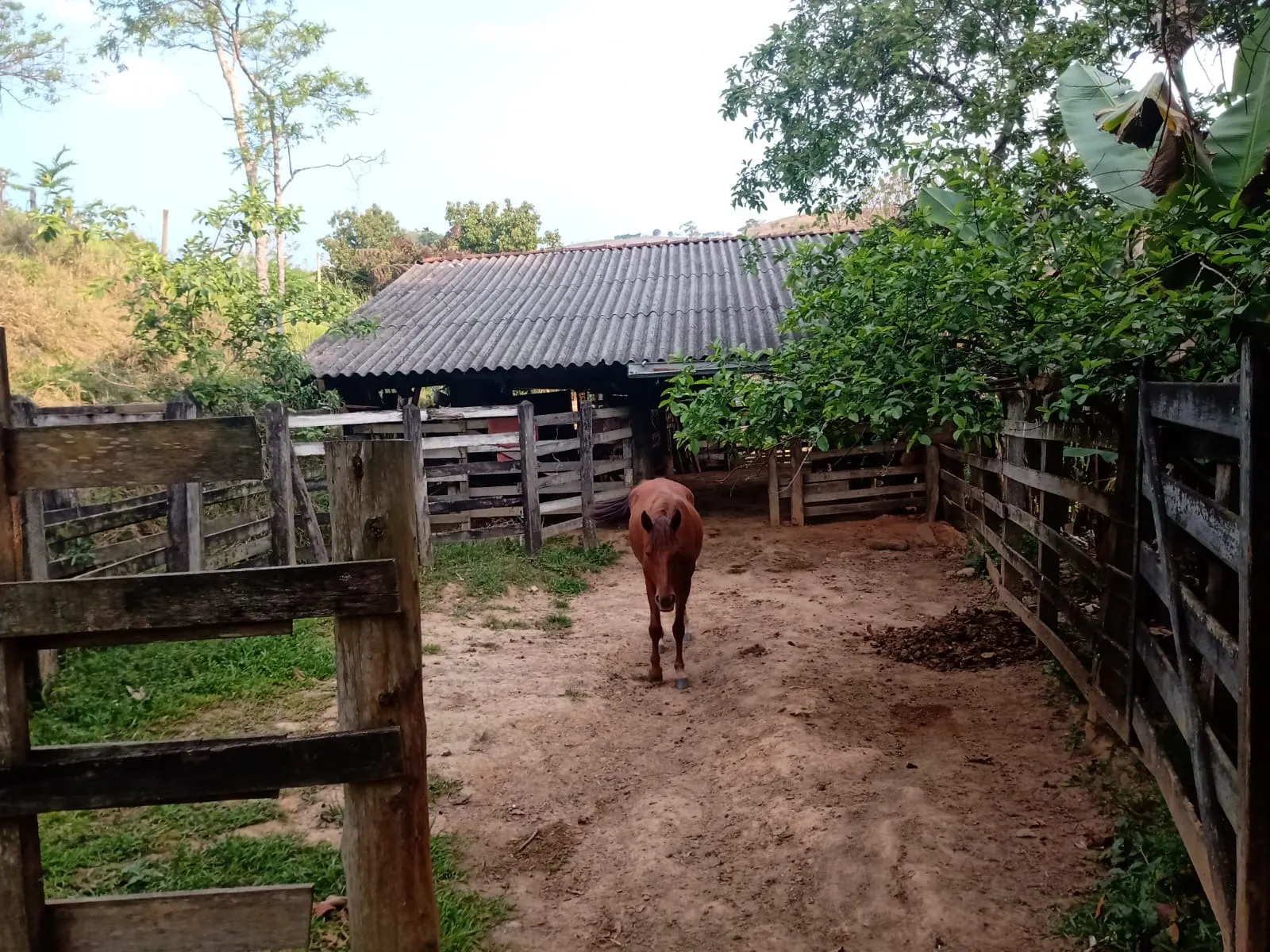 Sítio à venda de 2 ha em São José dos Campos, SP, Brasil