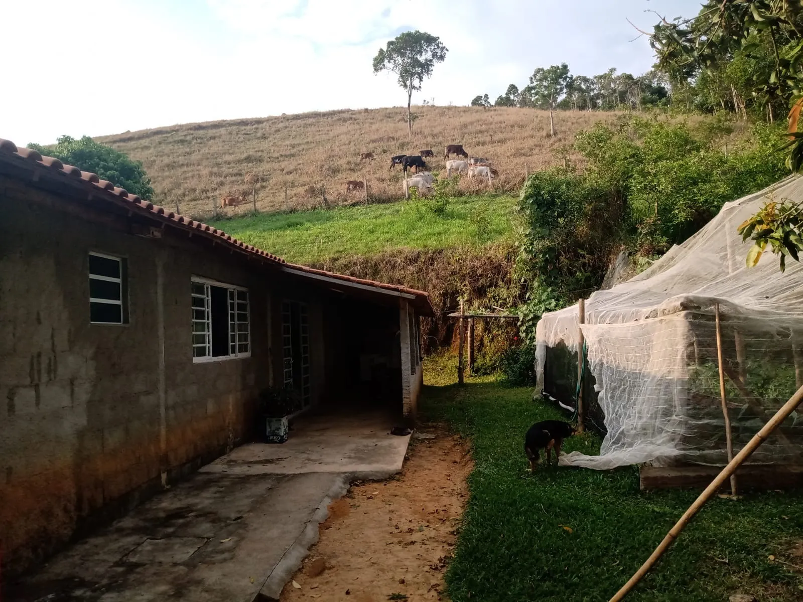 Sítio à venda de 2 ha em São José dos Campos, SP, Brasil