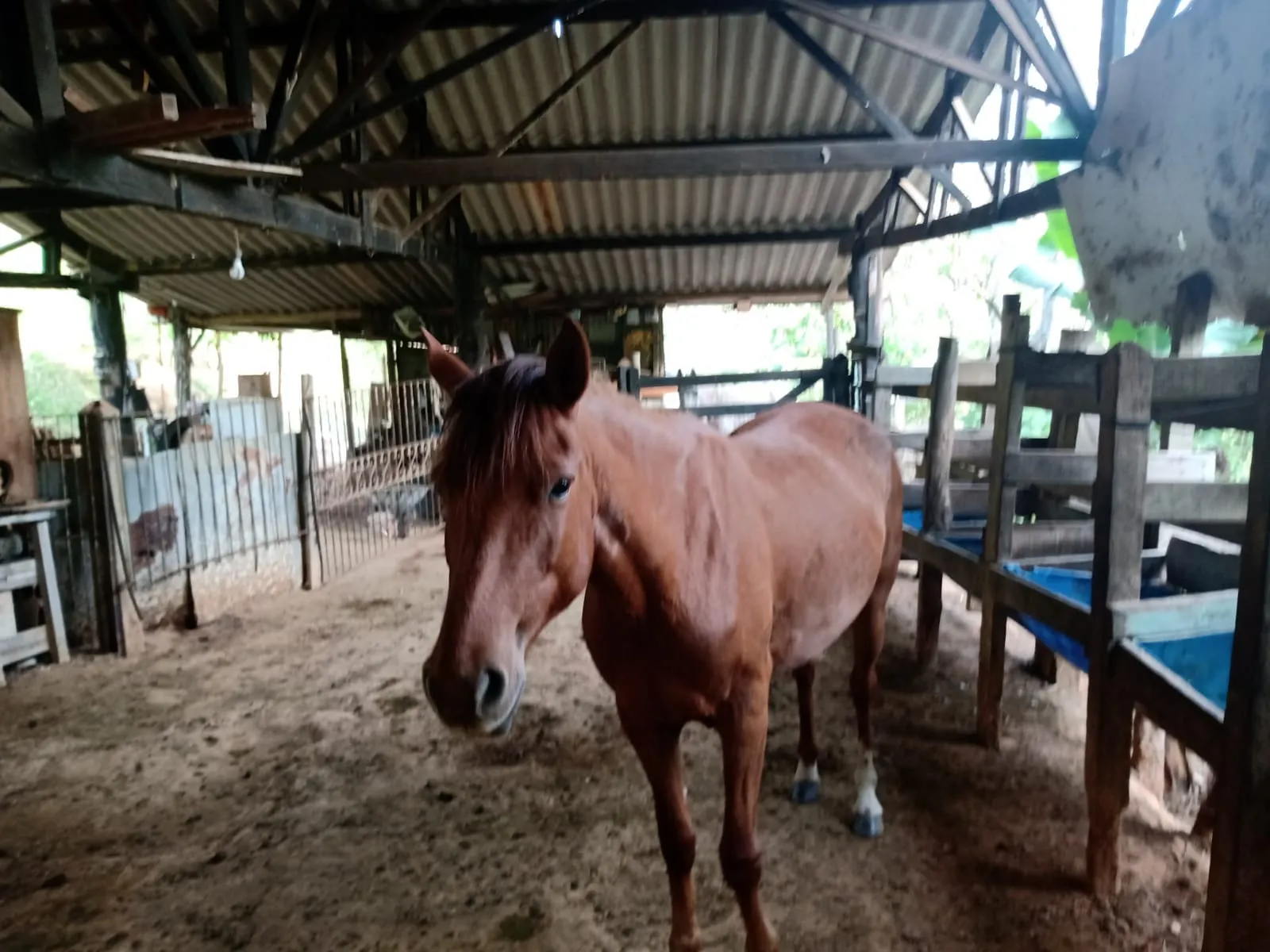 Sítio à venda de 2 ha em São José dos Campos, SP, Brasil