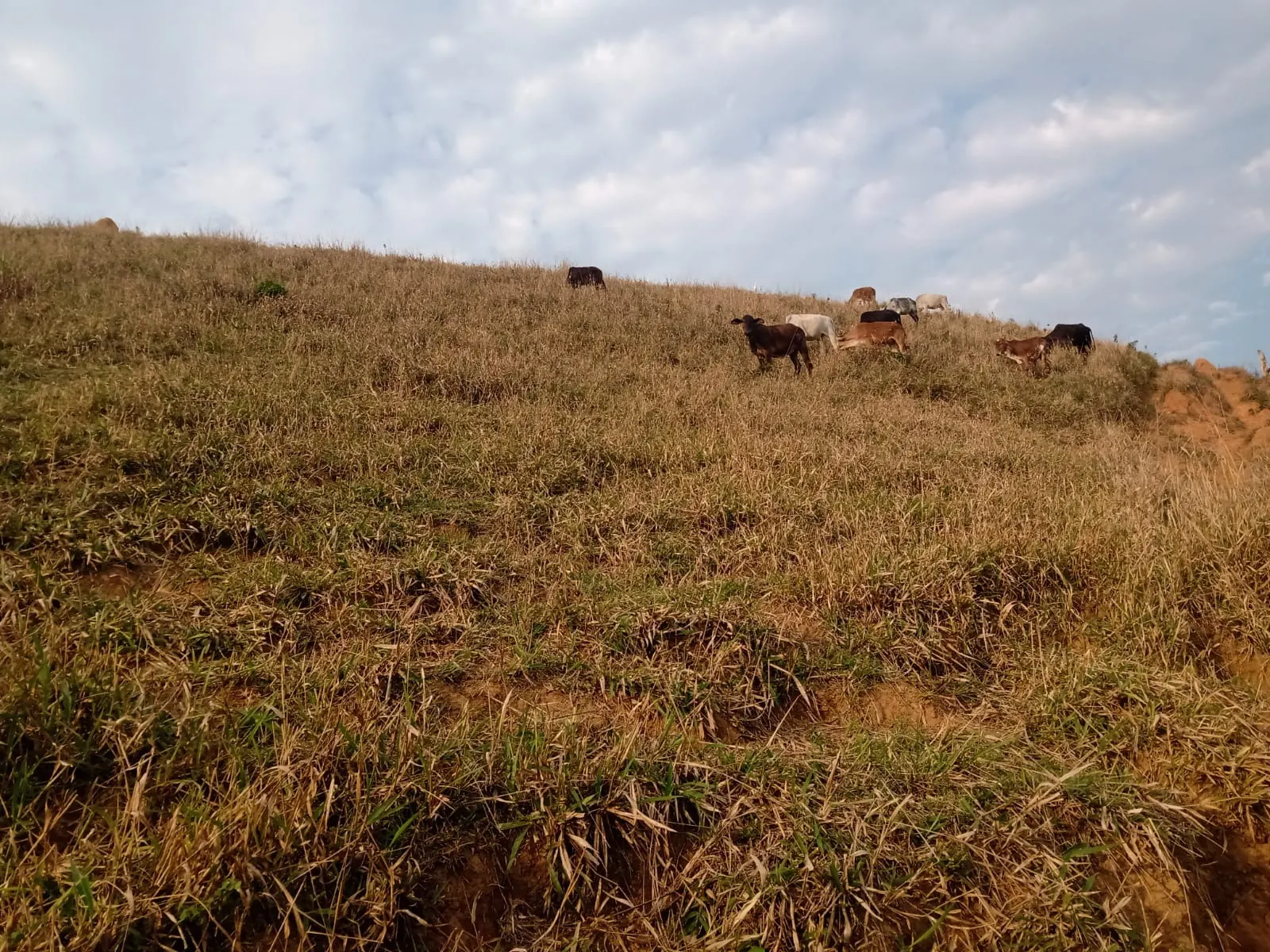 Sítio à venda de 2 ha em São José dos Campos, SP, Brasil