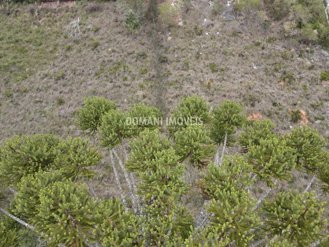 Plot for sale of 1,100 m² in Campos do Jordão, SP, Brazil