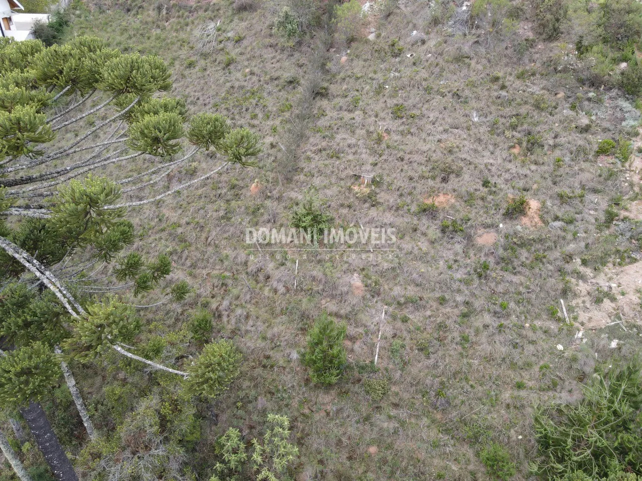 Plot for sale of 1,100 m² in Campos do Jordão, SP, Brazil