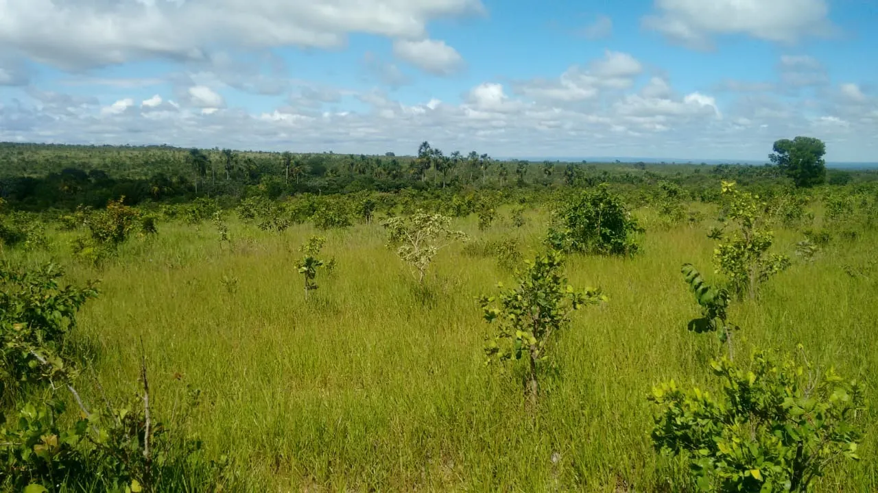 Fazenda à venda de 2.081 ha em João Pinheiro, MG, Brasil