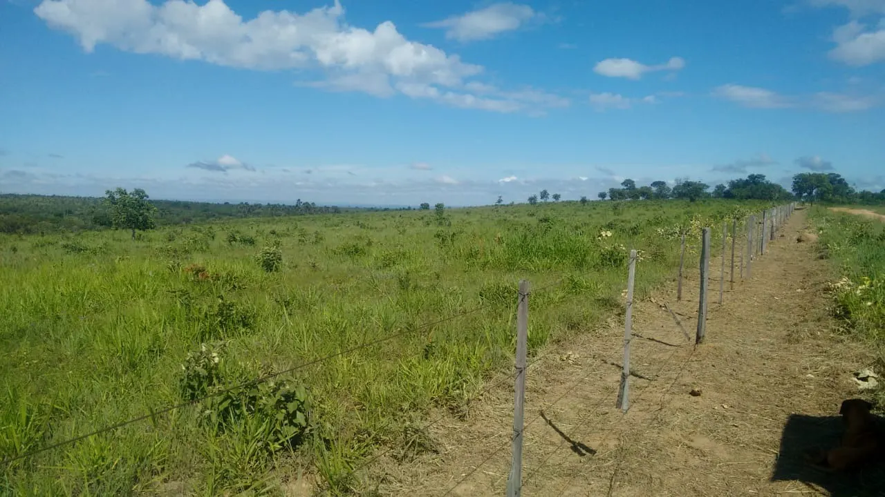Fazenda à venda de 2.081 ha em João Pinheiro, MG, Brasil