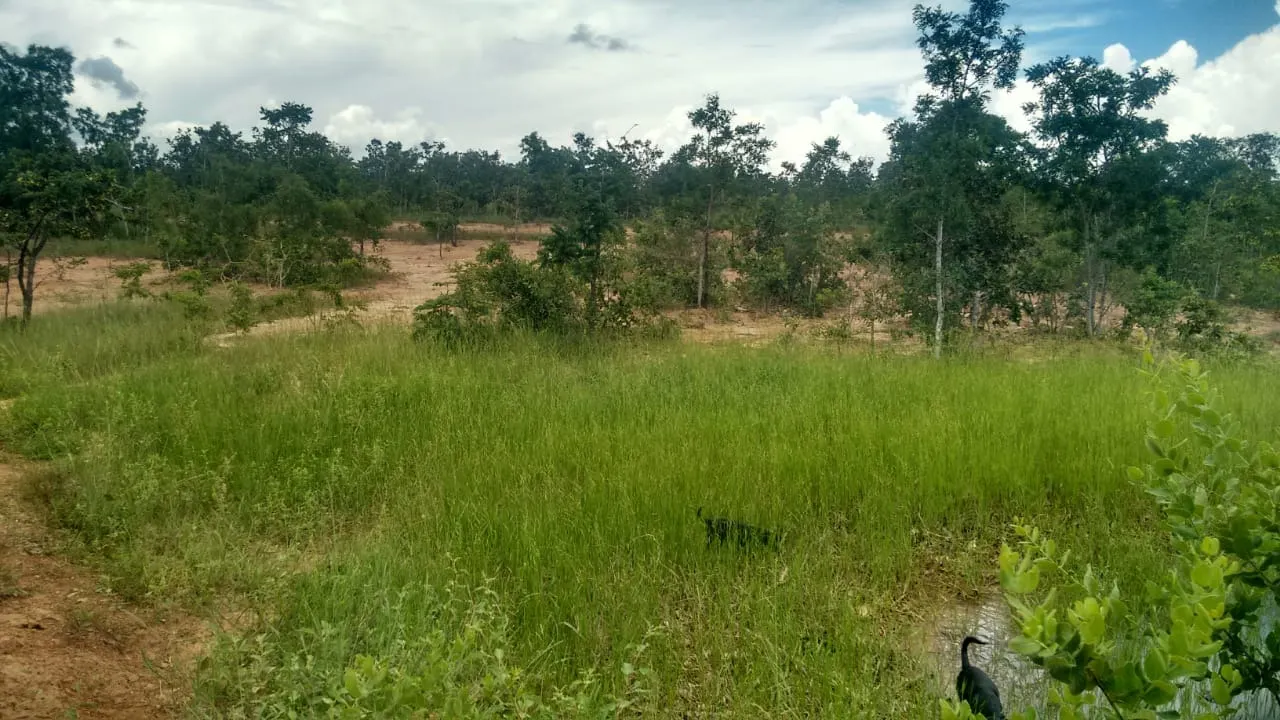Fazenda à venda de 2.081 ha em João Pinheiro, MG, Brasil