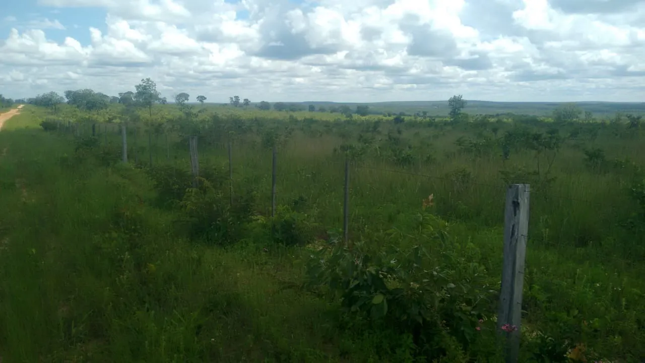 Fazenda à venda de 2.081 ha em João Pinheiro, MG, Brasil
