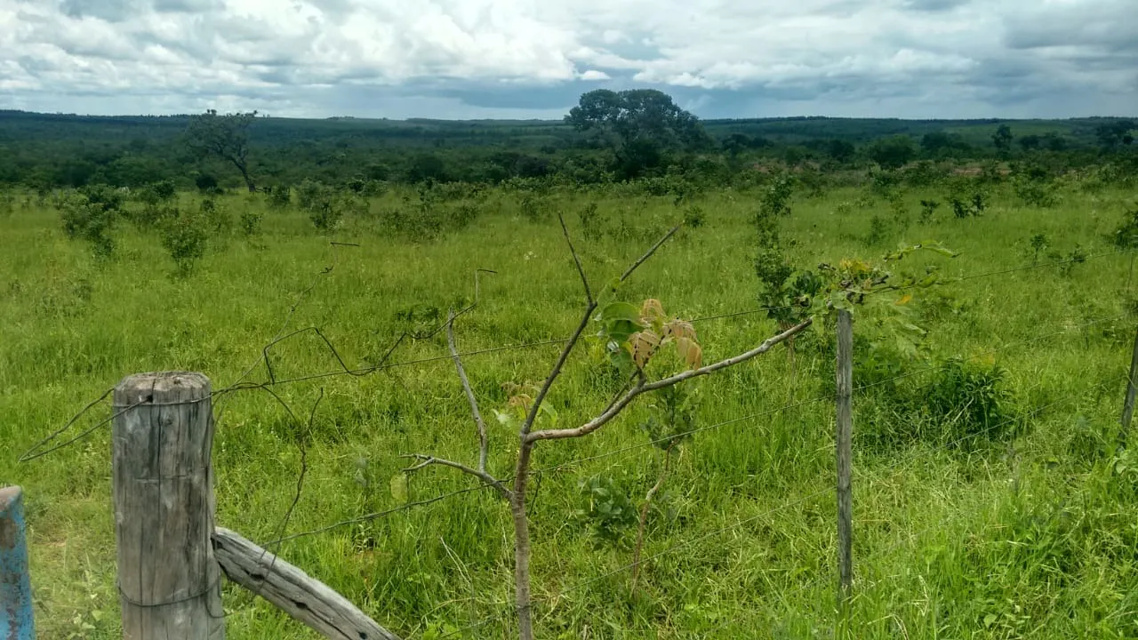 Fazenda à venda de 2.081 ha em João Pinheiro, MG, Brasil