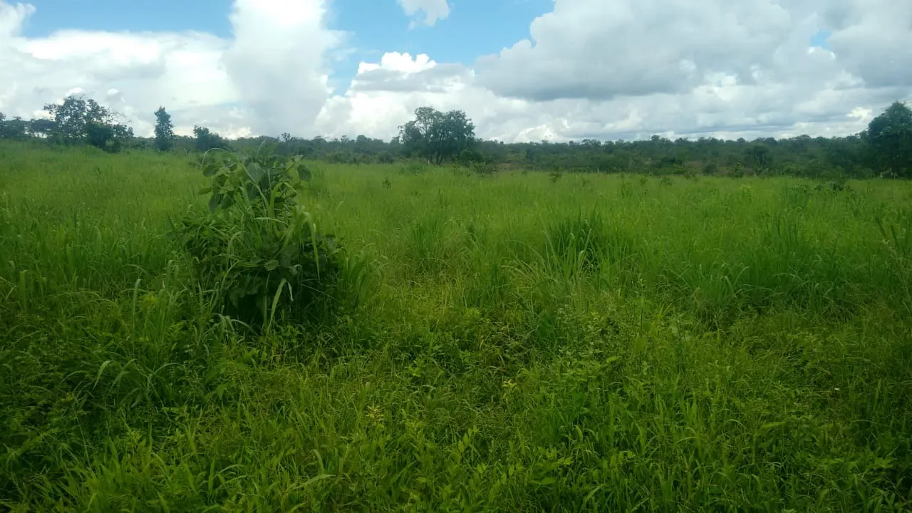 Fazenda à venda de 2.081 ha em João Pinheiro, MG, Brasil